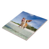 Carreau Petite porcelet (Côté)