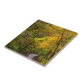 Carreau Petite Route De Gravier Bordée De Couleur D'Automn (Côté)