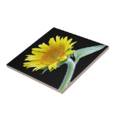 Carreau Petite tournesol (Côté)