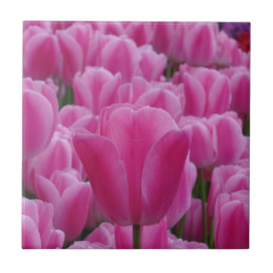 Carreau Petite tulipe (4,25 po x 4,25 po) Carrelage photo