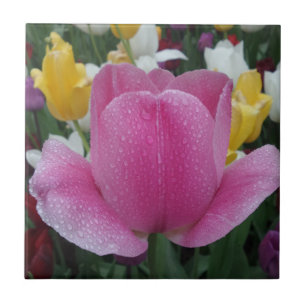 Carreau Petite tulipe (4,25 po x 4,25 po) Carrelage photo