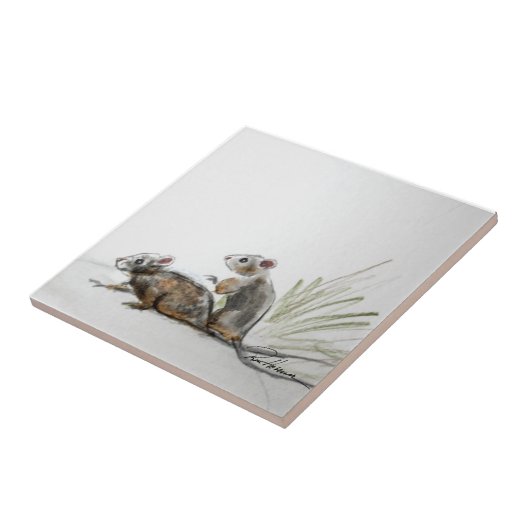 Carreau Petites choses (Côté)