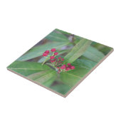 Carreau Petites floraisons printanières (Côté)