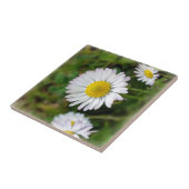 Carreau Petites marguerites (Côté)