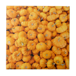 Carreau Petits citrouilles orange de la récolte d'automne