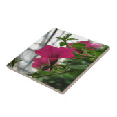 Carreau Petunia (Côté)