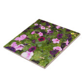 Carreau Pétunia rose et violet (Côté)