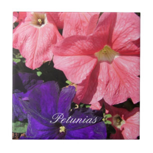 Carreau Pétunias roses et violets