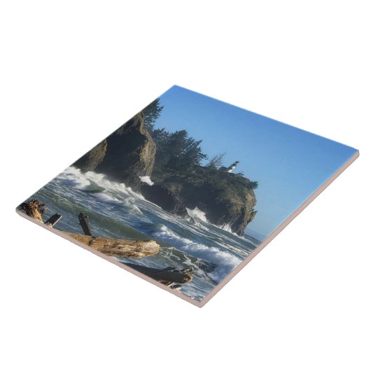 Carreau Phare de Cape Disnomination, WA (Côté)