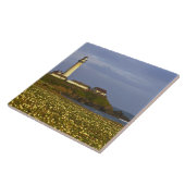 Carreau Phare de la plage d'état de Pigeon Point à San (Côté)