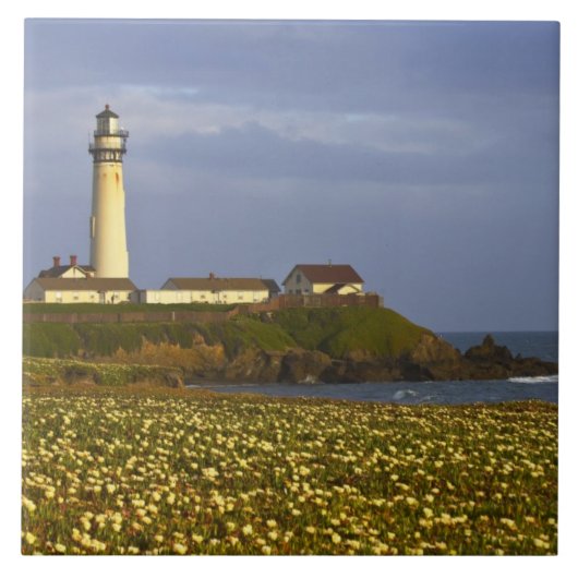 Carreau Phare de Pigeon Point State Beach à San (Devant)