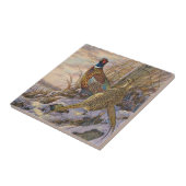 Carreau Pheasant (Côté)