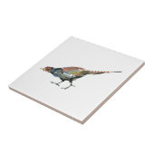 Carreau Pheasant (Côté)