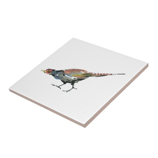 Carreau Pheasant (Côté)