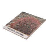 Carreau Phoenix Arizona Unique Red Barrel Cactus Photo (Côté)