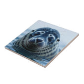 Carreau Phoque mignon de près (Côté)