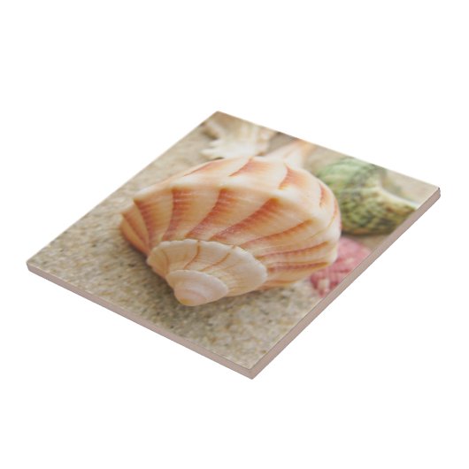 Carreau Photo Beach Seashell (Côté)