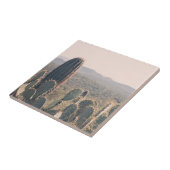 Carreau Photo de Bohème de paysage de désert des cactus | (Côté)