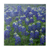 Carreau Photo de champ de Bluebonnets de Texas (Devant)