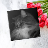 Carreau Photo de chat BW de Simba