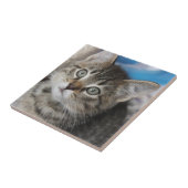 Carreau Photo de chat de famille mignonne (Côté)