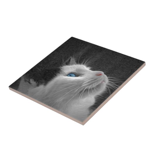 Carreau Photo de chat observée par bleu (Côté)