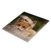 Carreau Photo de Cute Little Orange Fox (Côté)