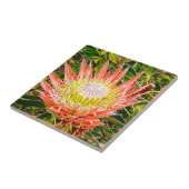 Carreau Photo de fleurs australiennes de Protea (Côté)