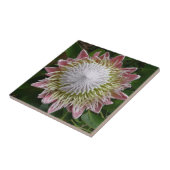 Carreau Photo de la grande nature rose et blanche des fleu (Côté)