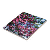 Carreau Photo de l'arbre à bois rose (Côté)