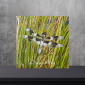 Carreau Photo de libellule d'écrémage blanc commun