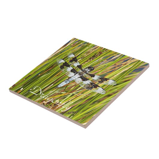 Carreau Photo de libellule d'écrémage blanc commun (Côté)