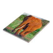 Carreau Photo d'éléphant d'Afrique adulte (Côté)