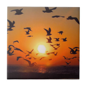 Carreau Photo d'oiseaux au coucher de soleil orange sur le
