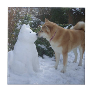 Carreau photo du mignon akita embrassant un bonhomme de ne