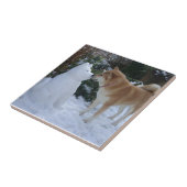 Carreau photo du mignon akita embrassant un bonhomme de ne (Côté)