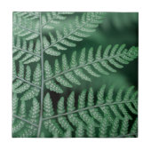 Carreau Photo focalisée par feuille verte (Devant)