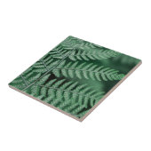 Carreau Photo focalisée par feuille verte (Côté)