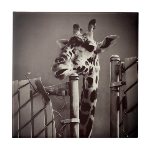 Carreau Photo Giraffe - Style Vintage (Devant)