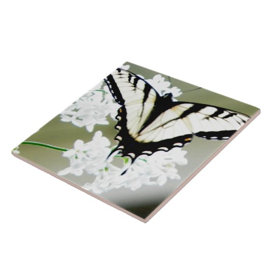 Carreau Photo papillon de l'épaisse du tigre oriental (Côté)