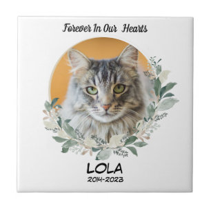 Carreau Photo personnalisée Pet Memorial Stone Perte de ch
