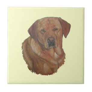 Carreau photo-portrait d' un chien retraité du labrador ro