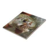 Carreau Photo Rainbow Trump (Côté)