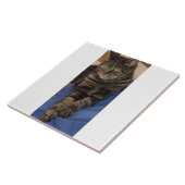 Carreau photo Regal Dave (Côté)