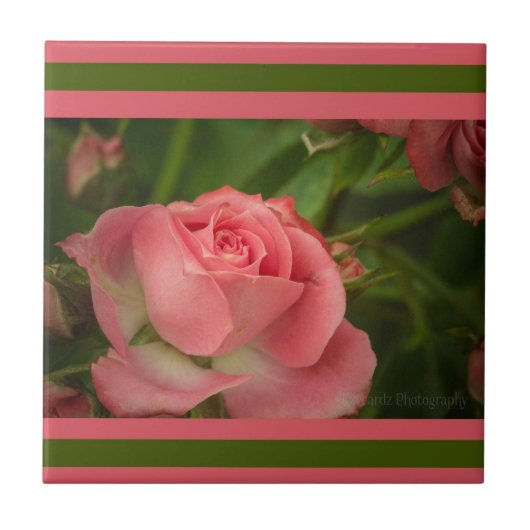 Carreau photo rose (Devant)