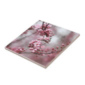 Carreau Photo rose de fleurs au printemps (Côté)