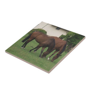 Carreau Photographie de cheval