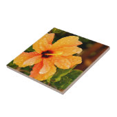 Carreau Photographie de fleur d'Hibiscus (Côté)