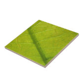 Carreau Photographie de la nature botanique de la feuille  (Côté)