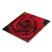 Carreau Photographie de rose rouge (Côté)